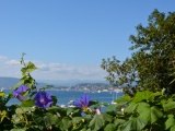 Tn CANNES ANTIBES 113